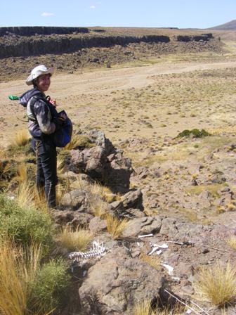 Arias Aller, Soledad